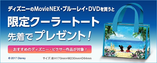 サマー・キャンペーン