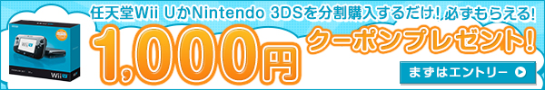 Wii U, Nintendo 3DS分割購入