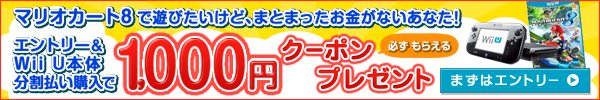 Wii U、Nintendo 3DSも分割払いならラクラク購入