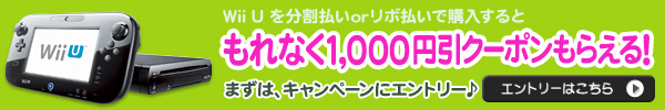 Wii U、Nintendo 3DSも分割払いならラクラク購入