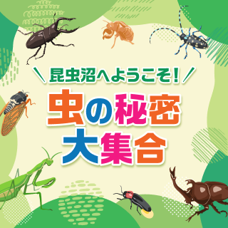 昆虫沼へようこそ！虫の秘密大集合