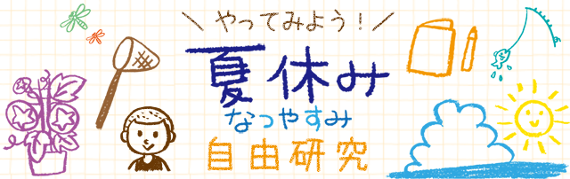 楽天ブックス:夏休み 自由研究特集