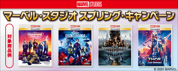 激安大特価！】 marvel MCU 全22作品 DVDセット 外国映画 