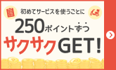ƻȤȤ˥250ݥȤ館