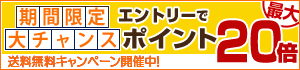 ポイント最大20倍キャンペーン