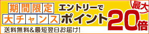 ポイント最大20倍キャンペーン