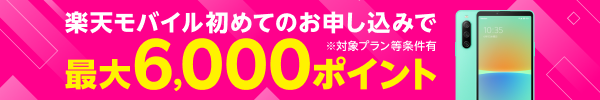 ڳŷХ۽ƤΤߤǺ6,000ݥȥץ쥼