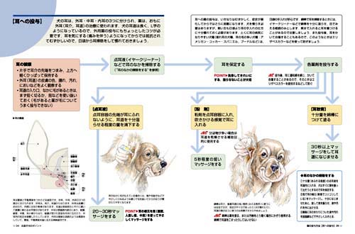 楽天ブックス イラストでみる犬の応急手当 安川 明男 本