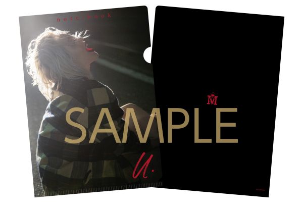 VIVANT DVD 特典ディスク・プロダクションノート・タオル付き