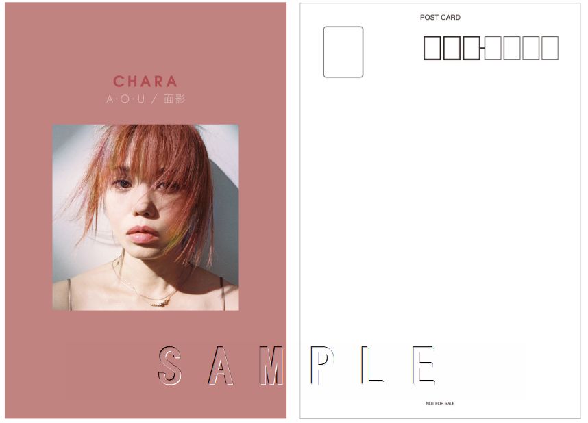 楽天ブックス: A・O・U【アナログ盤】 - CHARA - 4549767164007 : CD