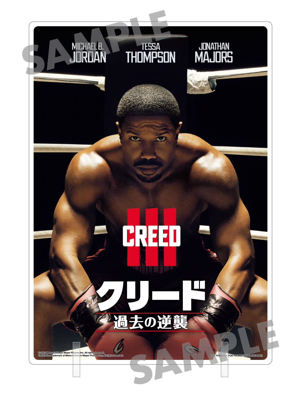 【楽天ブックス限定先着特典】クリード 過去の逆襲 ブルーレイ&DVDセット(2枚組)【Blu-ray】(アクリルプレート(A6サイズ))