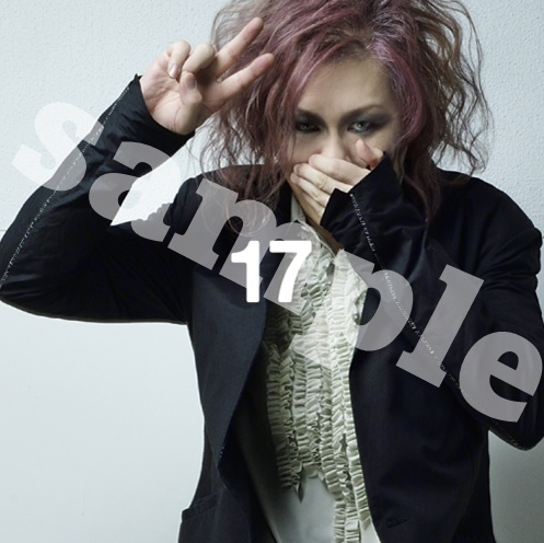 楽天ブックス 17 cali≠gari 4907953095755 CD