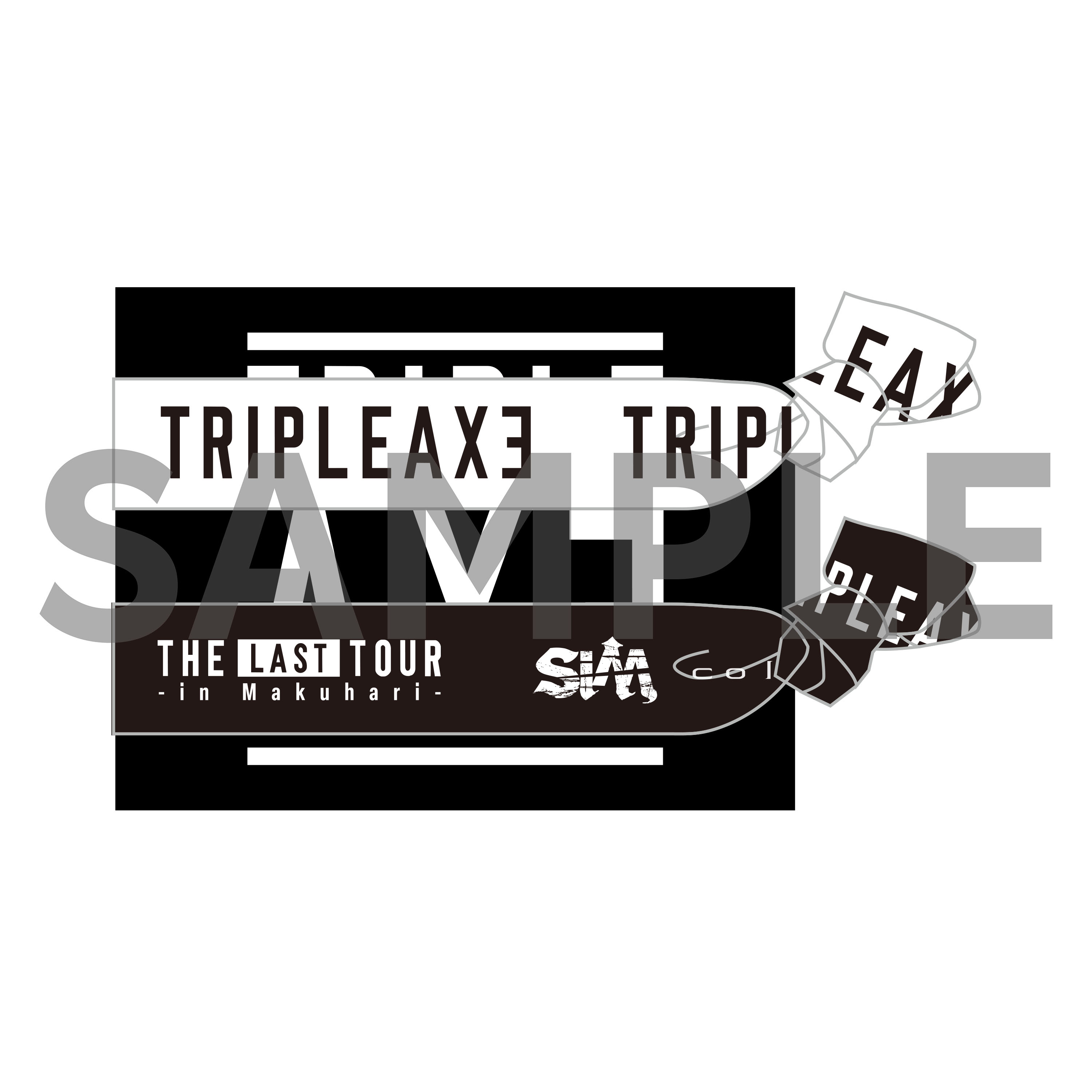 楽天ブックス: 【楽天ブックス限定先着特典】TRIPLE AXE -THE