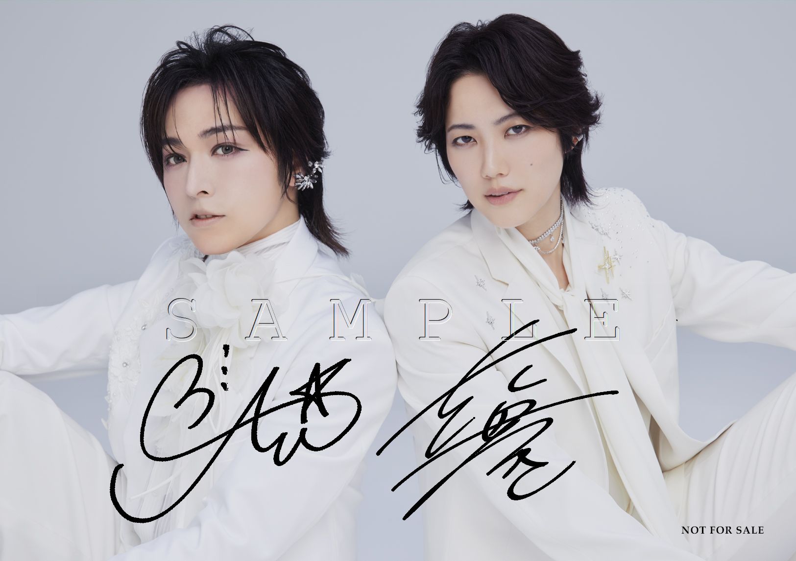 【新品】七海ひろき dearest Blu-ray ブックカバーチラシフライヤー HIROKI NANAMI 5th Anniversary Orchestra Concert “Dearest