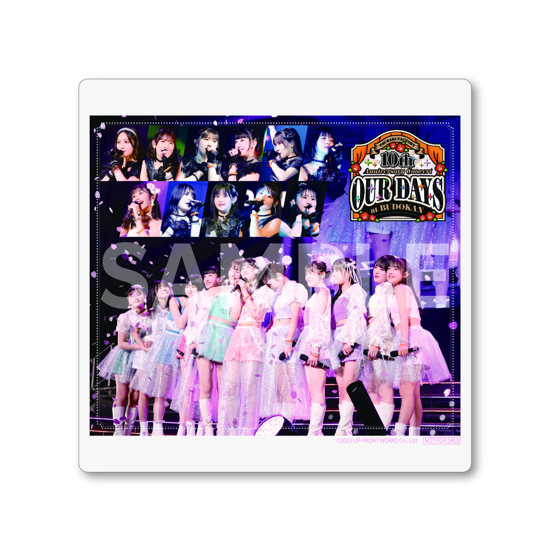 つばきファクトリー DVD 2枚セット Amazon.co.jp: つばきファクトリー 10th Anniversary Concert at