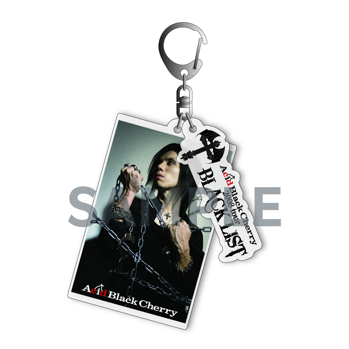 Acid Black Cherry tourL キーホルダー 7個セット Acid Black Cherry tourL キーホルダー 7個セット Amazon.co.jp