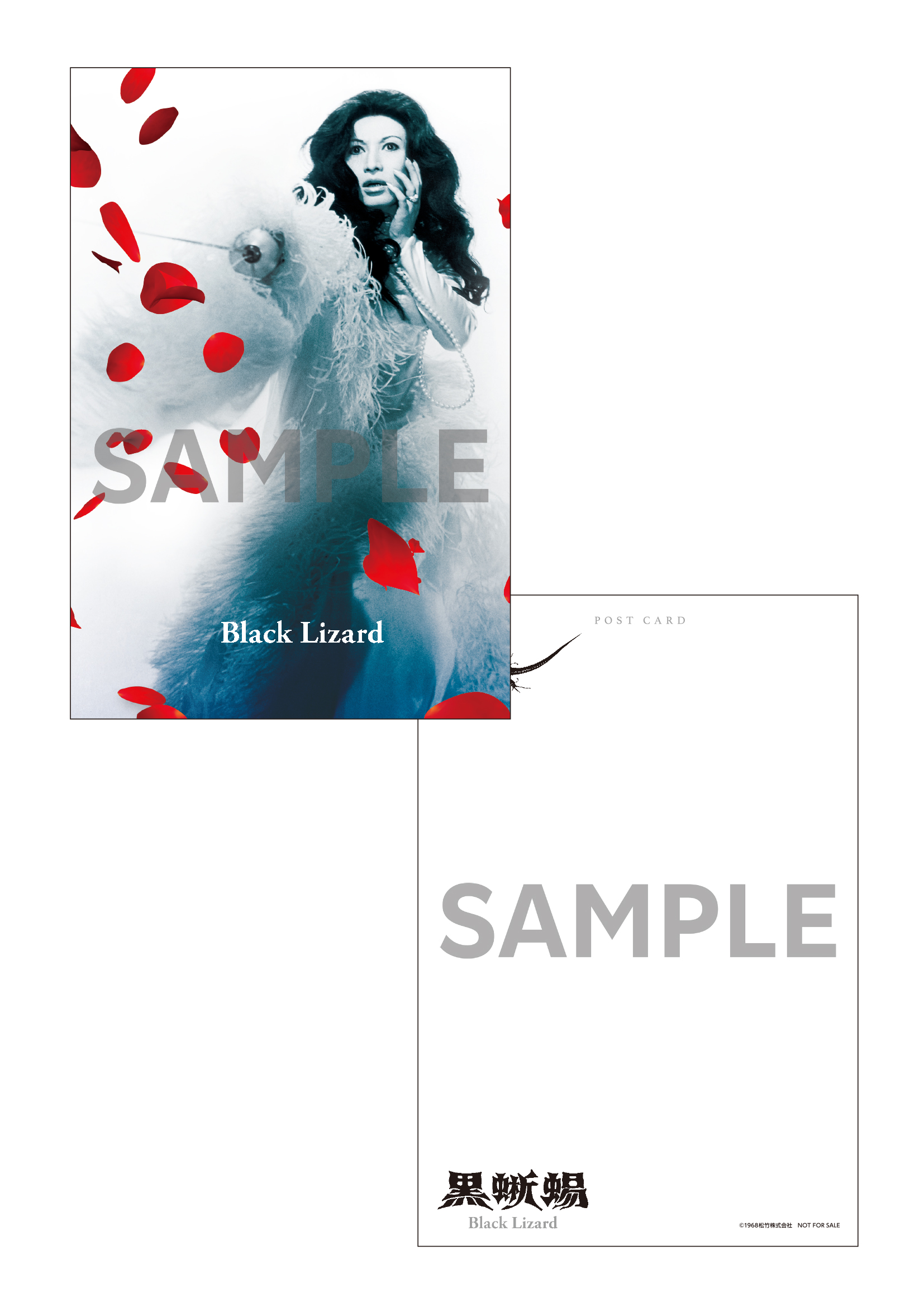 楽天ブックス: 【楽天ブックス限定先着特典】「黒蜥蜴」「黒薔薇