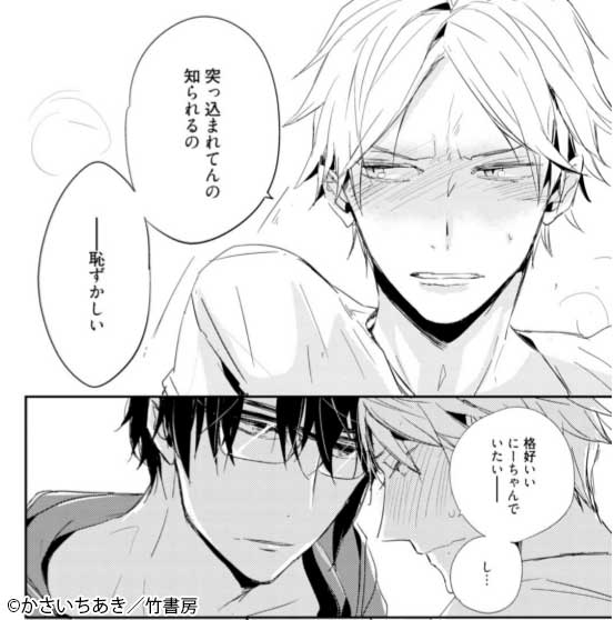 このBLが尊い 性と体と恋の反作用