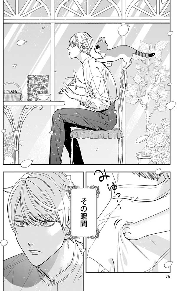 『宮王太郎が猫を飼うなんて』宮王太郎とニコロの出会い