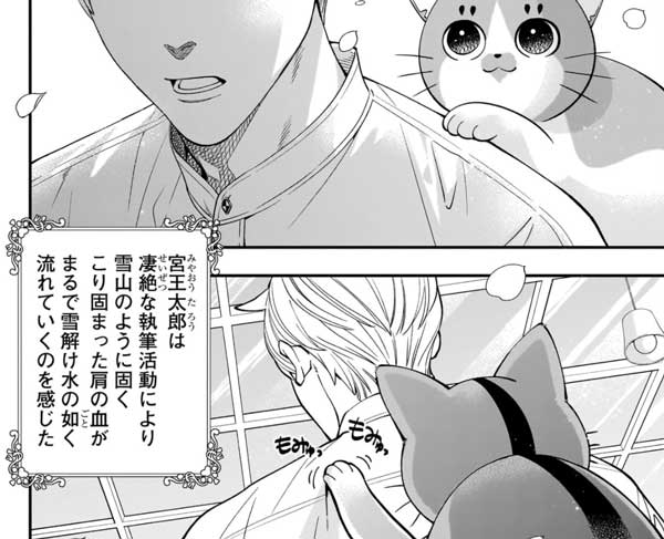 『宮王太郎が猫を飼うなんて』猫の肩もみ初体験の宮王太郎